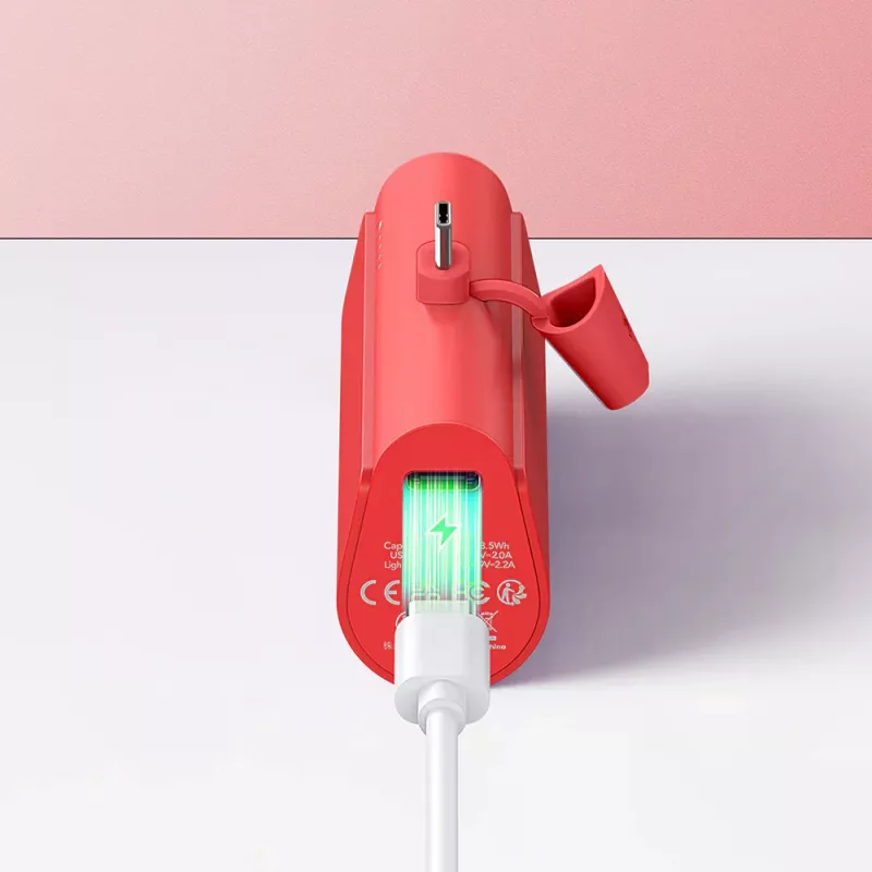 Draagbare powerbank Tellur PD202 5000mAh