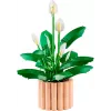 LEGO BOTANICALS 11504 Vredeslelie
