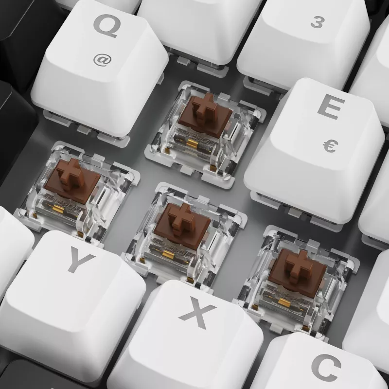 SKILLER SGK50 S3, gaming-toetsenbord wit, DE-indeling, Gateron Brown