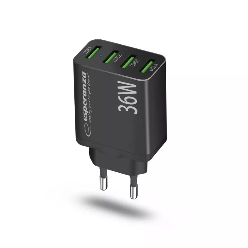 Esperanza EZC107K netlader 36W zwart