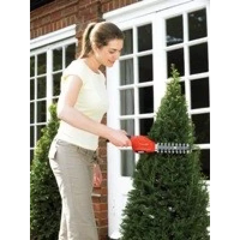 Heggenschaar Black & Decker GSL300 dubbel mes 600g accu 3,6V