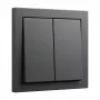 Wipafdekking GIRA System 55 2-voudig wip antraciet (model 329528)
