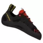 Tarantulace-zwarte papaver-39,5