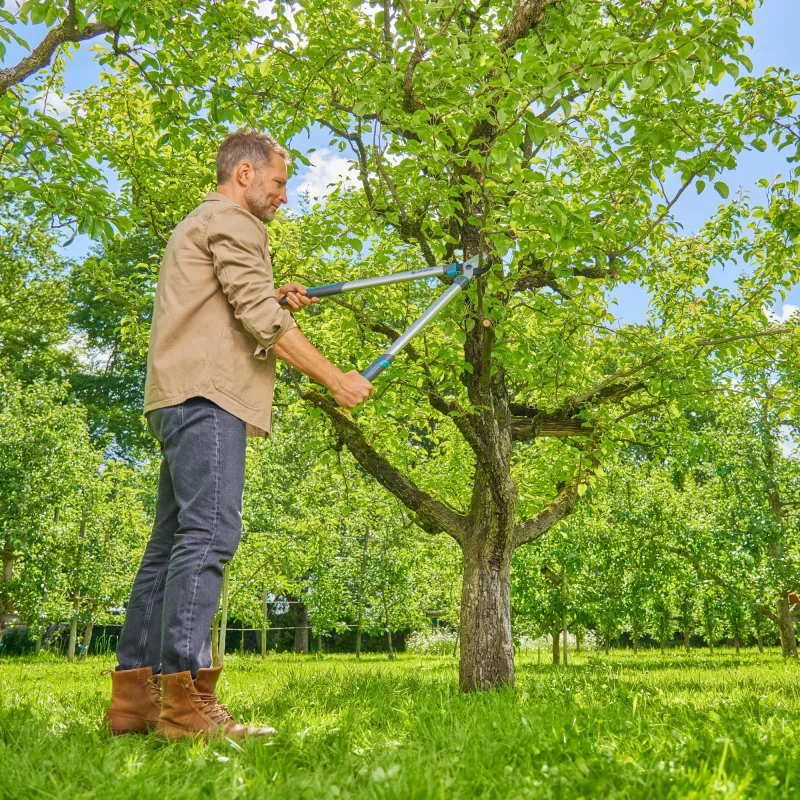 Gardena takkenschaar EasyCut L grijs/turkoois 50cm (12031-88)