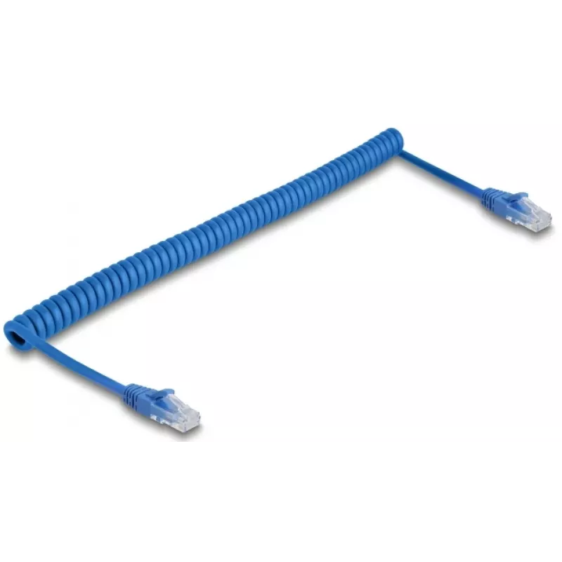 Netwerkkabel DeLOCK 90197 blauw 1,2 m Cat6 U/UTP