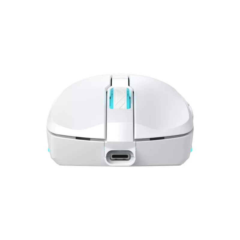 Muis Baracuda BGM-122 Turtle wit TURTLE-W