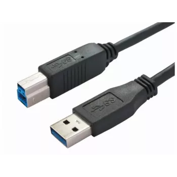 USB-kabel Bachmann 917.1205 USB 3.2 Gen 1 1 m USB-A USB-B zwart