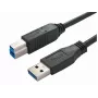 USB-kabel Bachmann 917.1205 USB 3.2 Gen 1 1 m USB-A USB-B zwart