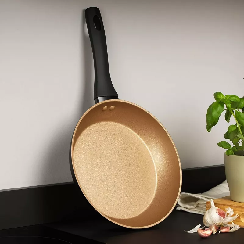 Koekenpan Russell Hobbs RH01666BEU7 24 cm, antiaanbaklaag, zwart
