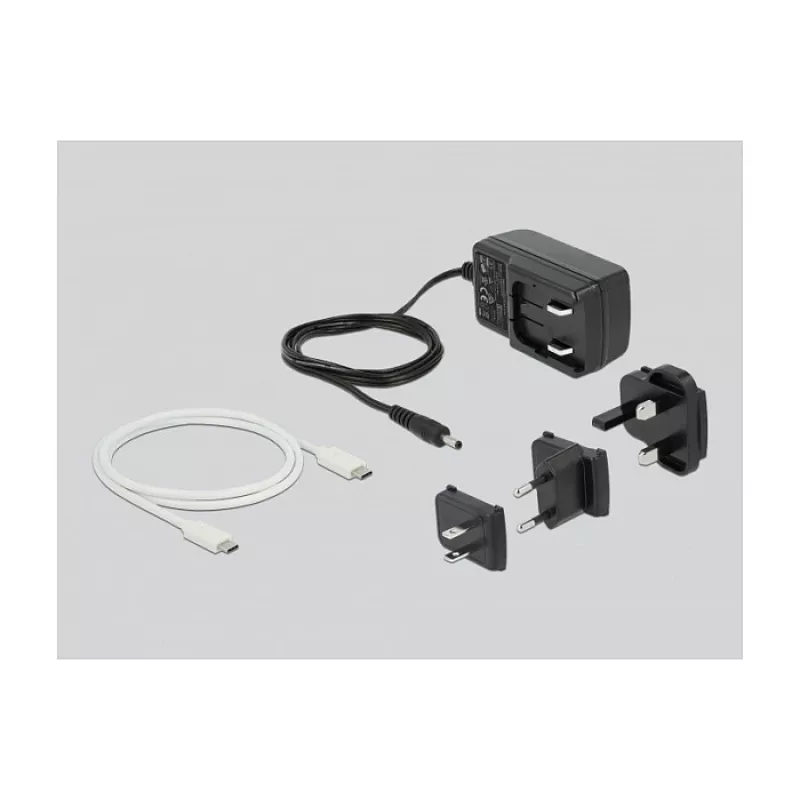 Dockingstation DeLOCK USB Type-C™ 3.2 voor 2 x 2,5-inch SATA-harde schijven/SSD's