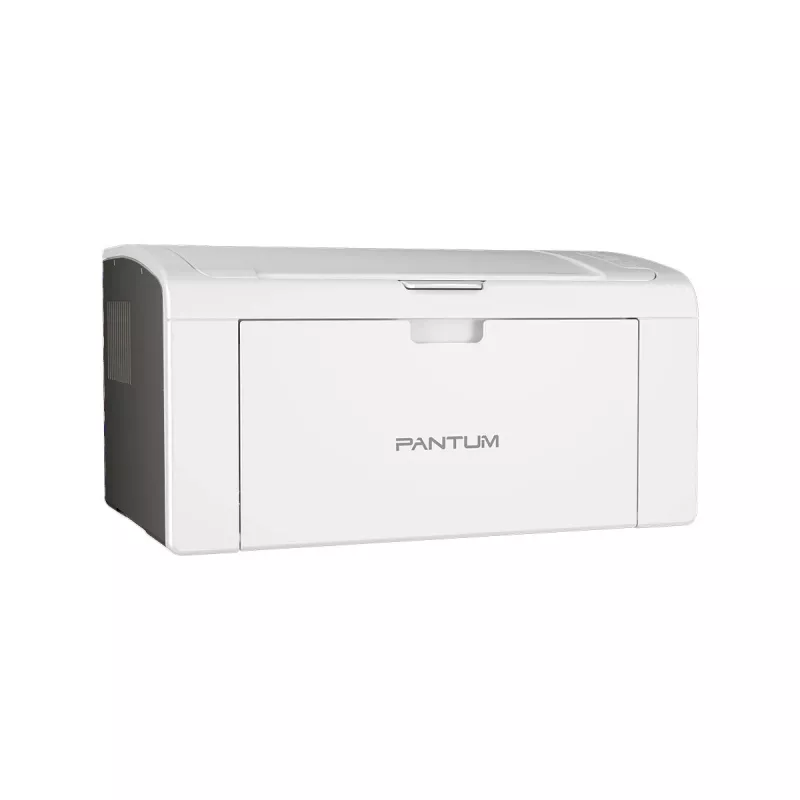 Printer Pantum P2509W laser wit