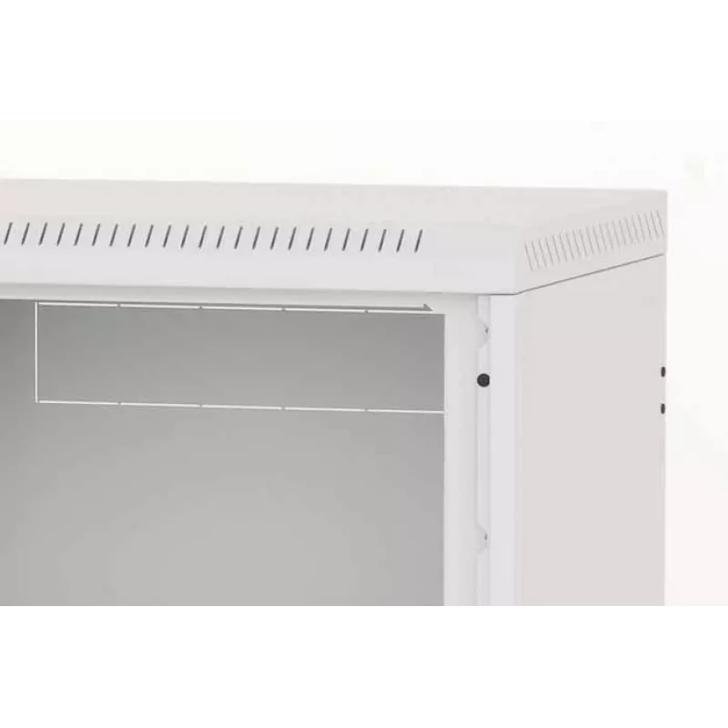 Wandmontage rack Triton RBA-09-AS5–CAX–A1 9U wit
