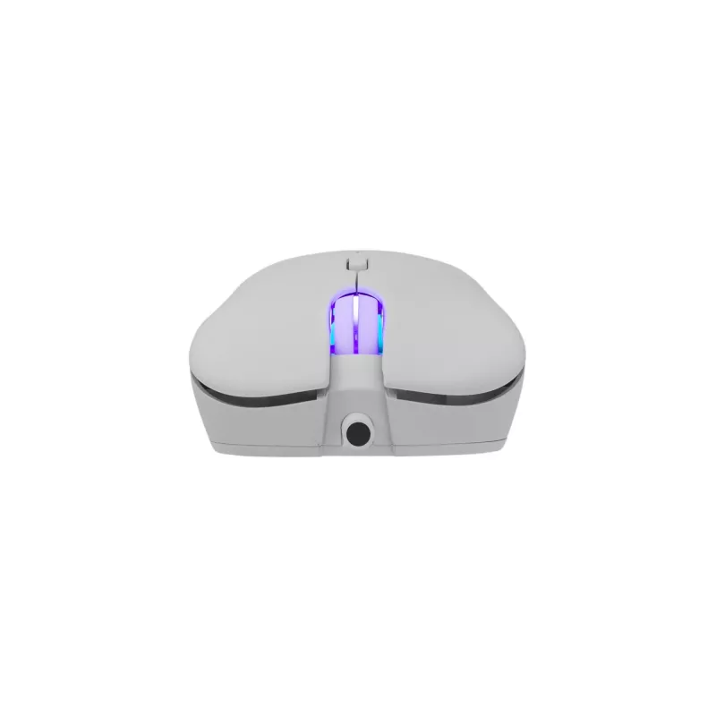 Muis White Shark GM-5010 Bagdemagus wit USB