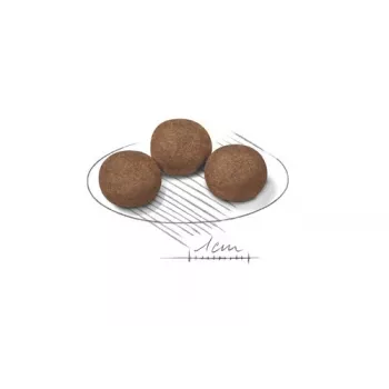 Royal Canin Medium Puppy droogvoer voor pups 15 kg