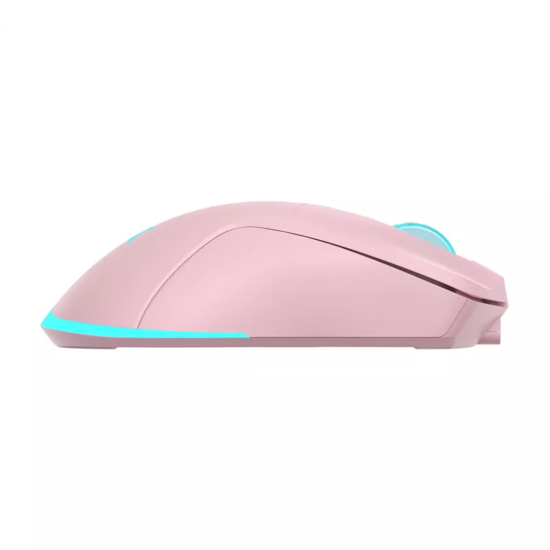 Muis Baracuda BGM-124 Turtle roze TURTLE-P