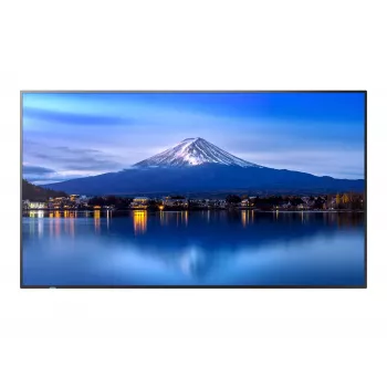 Großformat-Display SHARP NEC P506 50 inch P-serie UHD