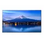 Großformat-Display SHARP NEC P506 50 inch P-serie UHD