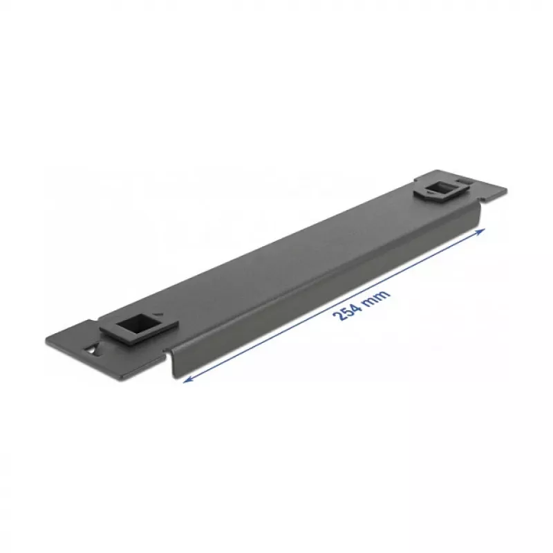 Blindplaat DeLOCK 10 inch netwerkkast 66576
