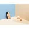 Beschermhoes man and wood voor iPhone 12 Pro Max — kat met rode vis