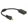 DisplayPort-kabel DeLOCK 62638 Mini DisplayPort 0,25 m zwart