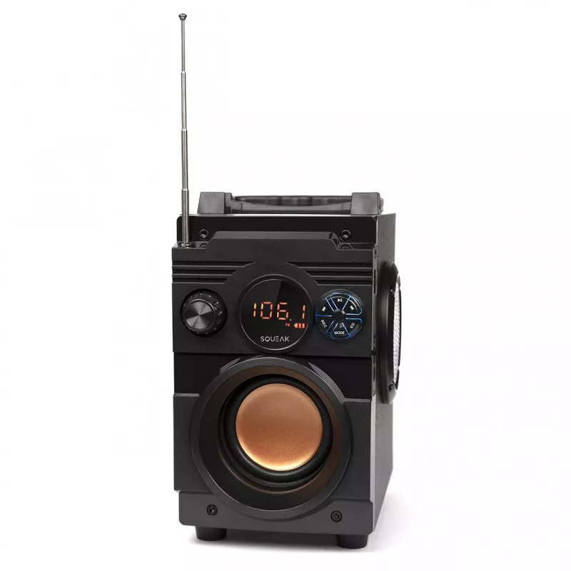 Squeak Bassblaster Bluetooth 5.1 luidspreker, FM-radio, MP3-speler SQ1001