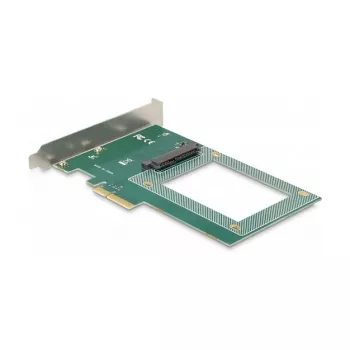 DeLOCK PCI Express x4-kaart naar 1 x interne U.2 NVMe SFF-8639