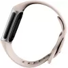 Fitbit GA05185-EU Product zilver