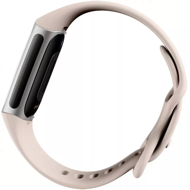 Fitbit GA05185-EU Product zilver