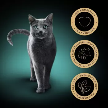 Nattenvoer voor katten Sheba Moist, zak 12×85 g (1020 g), kip & lam, volwassen