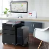 Bureau-lade-eenheid Maclean MC-850 zwart metaal 2 laden