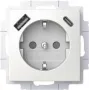 BUSCH JAEGER SCHUKO stopcontact USB-A+C 20 EUCB2USBAC-914 (2CKA002011A6298)