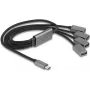 DeLOCK 64210 USB 2.0 Type-C hub 480 Mbit/s zwart grijs