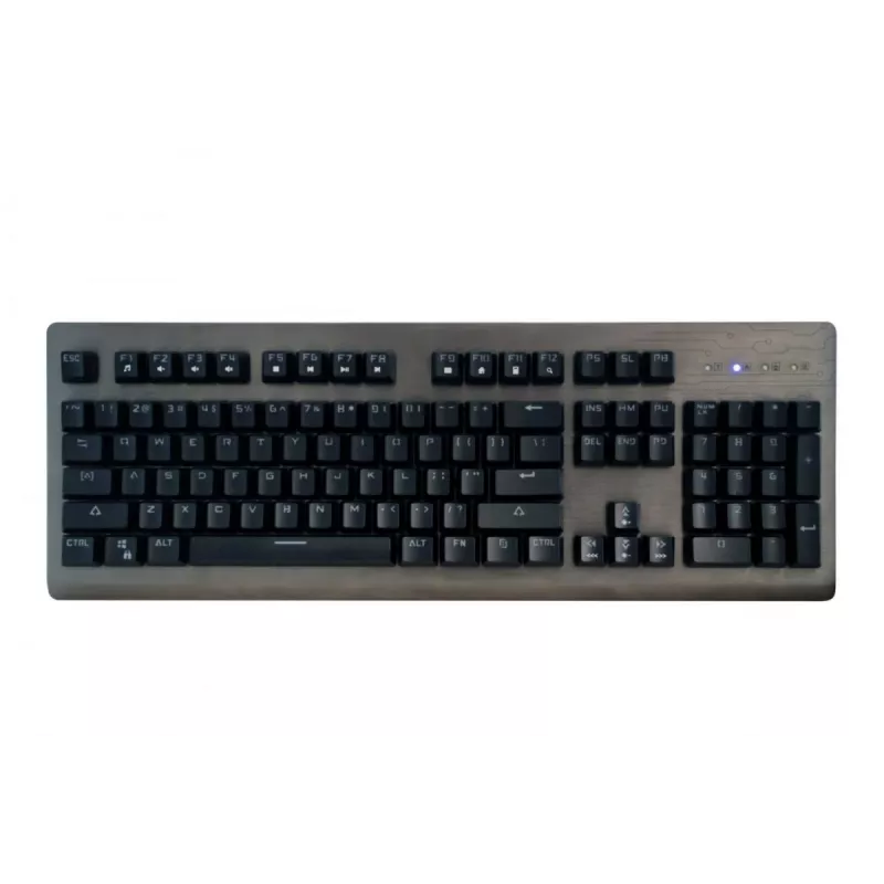 Media-Tech Cobra Pro Inferno MT1253 mechanisch gamingtoetsenbord, USB, verlicht, US-indeling