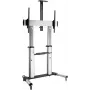 ROLINE standaard voor LCD-display - zilver - schermgrootte: 152,4-254 cm (60-100)