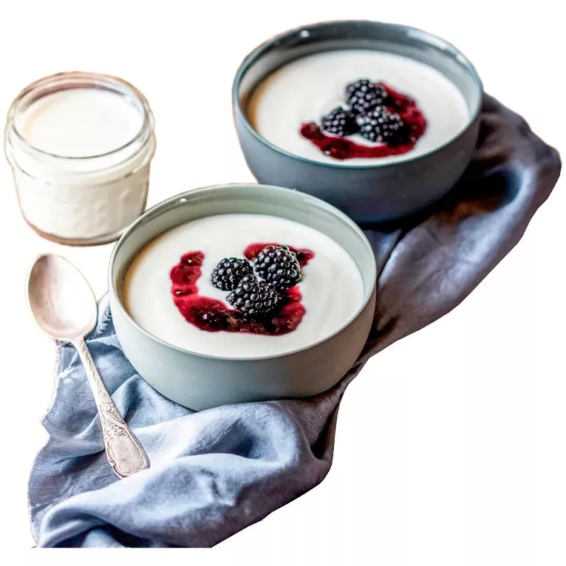 Rommelsbacher JG 80 Joghurtbereider 1,2 l Kwark - yoghurt 20 W (JG80)