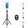 Agfa Arl11xl ring light LED ring 11 inch + statief + afstandsbediening