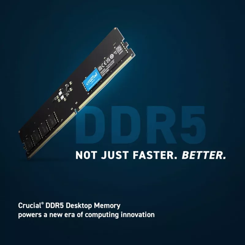 Crucial Pro - DDR5 - module - 16 GB - DIMM 288-PIN low profile