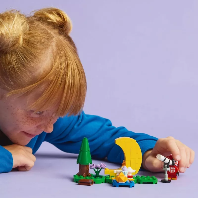 LEGO Animal Crossing Sterrenkijken met Eufemia set 77053