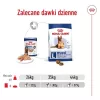 ROYAL CANIN SHN Maxi Ageing loaf blik 410 g