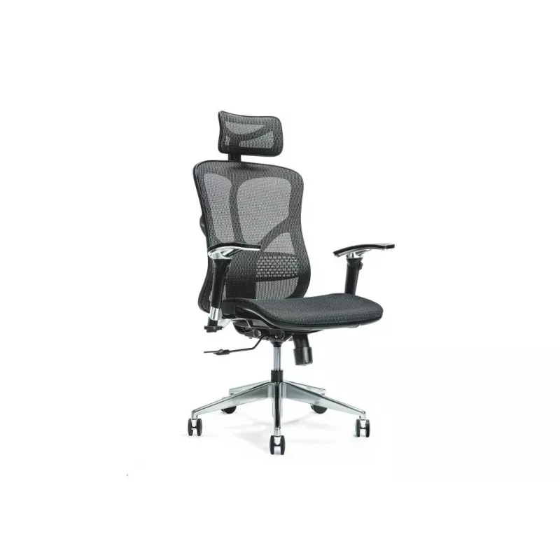 Ergonomische bureaustoel ERGO 500 zwart