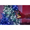 TWINKLY Strings 250 Special Edition (TWS250SPP-BEU) slimme kerstboomverlichting 250 LED RGB+W 20 m