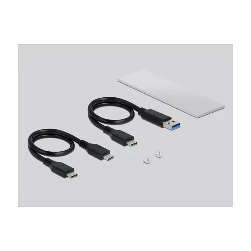 SSD-behuizing DeLOCK 42634 Zilver M.2