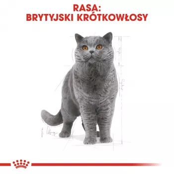 Nassfutter voor katten Royal Canin British Shorthair Adult zak 85 g, gevogelte, ROYAL CANIN Feline Breed Nutrition