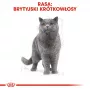 Nassfutter voor katten Royal Canin British Shorthair Adult zak 85 g, gevogelte, ROYAL CANIN Feline Breed Nutrition