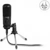 Delock - microfoon - USB - zwart (66832)