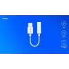 USB Type 3.1 C (M) – jack 3,5mm (F) audioadapter wit SAVIO AK-51
