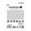 Oplaadbare batterij everActive 6F22/9V Li-ion 550 mAh met USB TYPE C