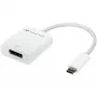 USB-adapter, USB-C-stekker > DisplayPort-bus (wit, 11 cm)