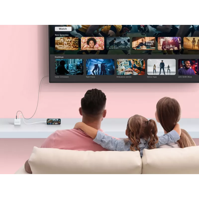 AVerMedia GC313 universeel wit AC snelladen binnen