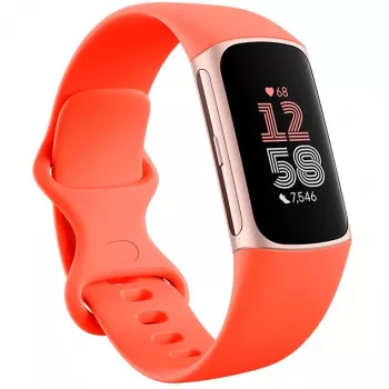 Fitbit Charge 6 - Champagne Gold aluminium - activiteitsmeter met Infinity Band - silicone - koraalkleurig - NFC, Bluetooth - 37,64 g (40-56-7910)